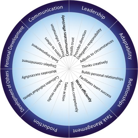 Managing Performance - Leadership, Management & Soft Skills Training